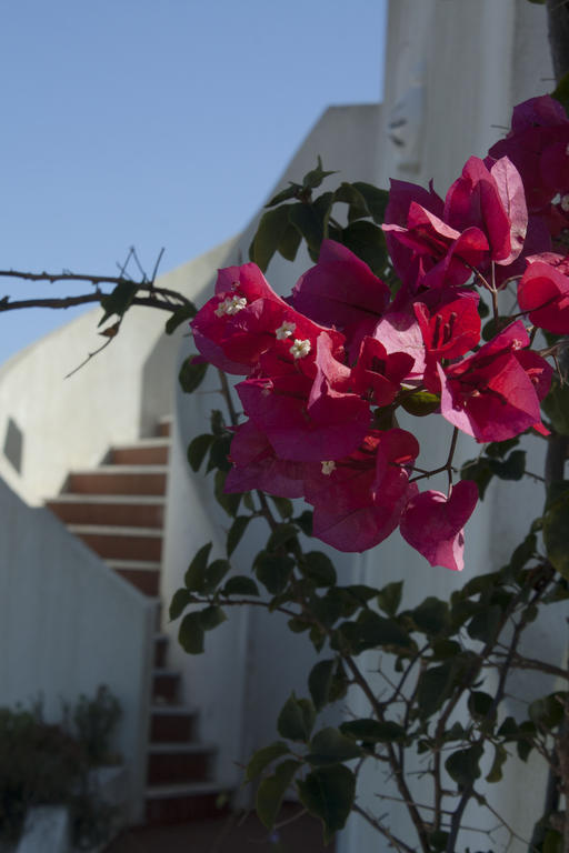 Villa Alves Carvoeiro  Esterno foto